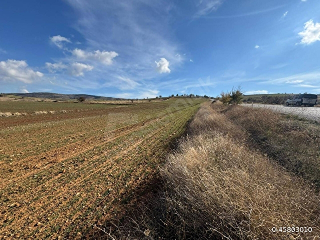 ASFALT YOLA 90 METRE CEPHELİ MÜSTAKİL 5.000 m² TARLA - Görsel 3