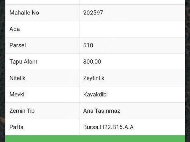 ORHANGAZİ PAŞAPINAR KÖYÜNDE GÖL MANZARALI KUPON ARAZİ - Görsel 10