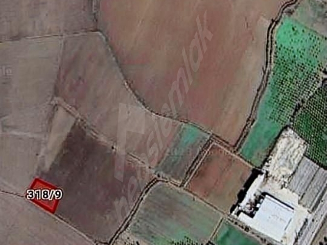 Çandarlı Otoyol Yakını Geleceğe Yatırım İçin Tarla - Görsel 12