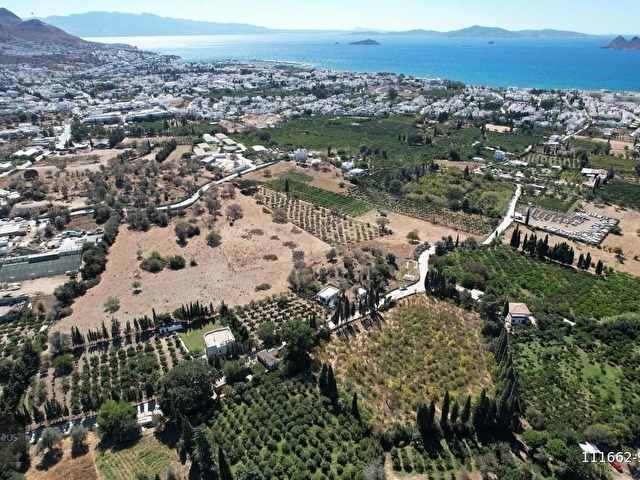Bodrum Turgutreis 7.500m2 Narenciye Bahçesi Denize 900mt - Görsel 11