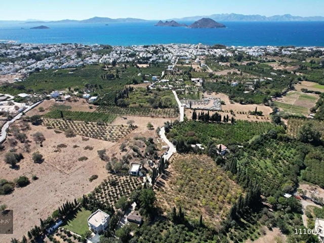 Bodrum Turgutreis 7.500m2 Narenciye Bahçesi Denize 900mt - Görsel 10
