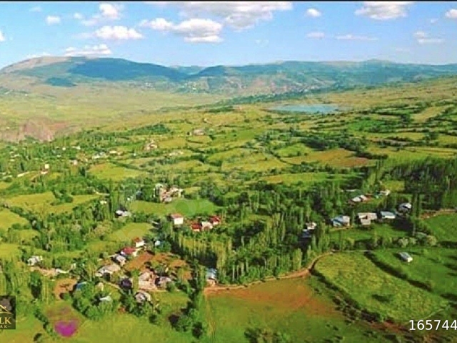 SATILIK 1.385m2 ŞEBİNKARAHİSAR TURPÇU KÖY İCİ ARSAMIZ 554BİN TLYE SATILIKTIR Mülk EMLAK Mustafa NAL