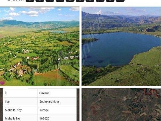 SATILIK 1.385m2 ŞEBİNKARAHİSAR TURPÇU KÖY İCİ ARSAMIZ 554BİN TLYE SATILIKTIR Mülk EMLAK Mustafa NAL - Görsel 11