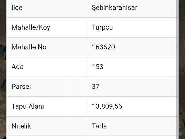 SATILIK 1.385m2 ŞEBİNKARAHİSAR TURPÇU KÖY İCİ ARSAMIZ 554BİN TLYE SATILIKTIR Mülk EMLAK Mustafa NAL - Görsel 18