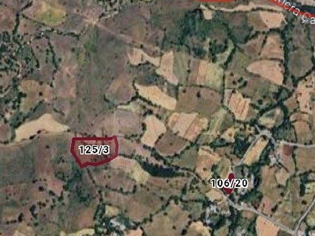 SATILIK 1.385m2 ŞEBİNKARAHİSAR TURPÇU KÖY İCİ ARSAMIZ 554BİN TLYE SATILIKTIR Mülk EMLAK Mustafa NAL - Görsel 19