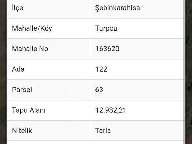 SATILIK 1.385m2 ŞEBİNKARAHİSAR TURPÇU KÖY İCİ ARSAMIZ 554BİN TLYE SATILIKTIR Mülk EMLAK Mustafa NAL - Görsel 20