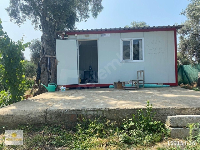 İZMİR BAYINDIR SATILIK MÜSTAKİL BAHÇE