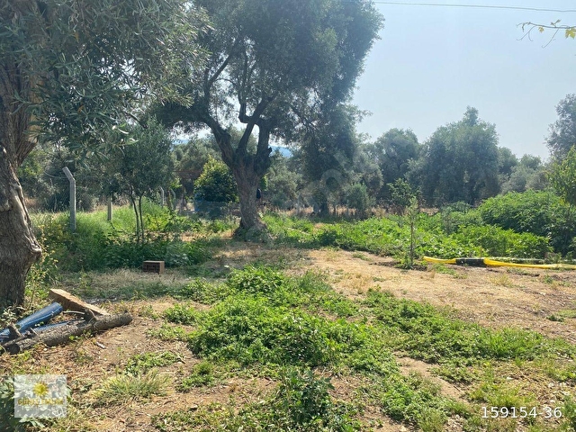 İZMİR BAYINDIR SATILIK MÜSTAKİL BAHÇE - Görsel 2