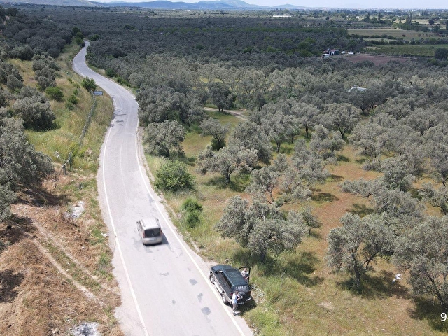 101 Metre Asfalt Cepheli Satılık Zeytinlik