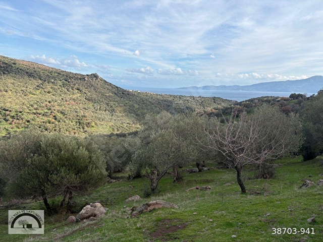 Ayvacık Koyunevi (Sokakağzı) Satılık