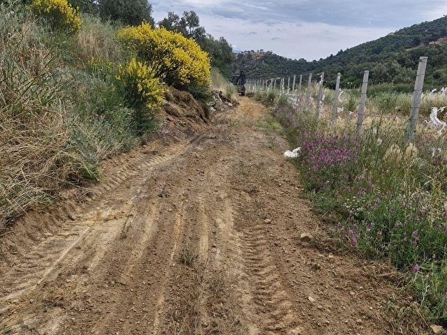 ALTIN EMLAKTAN BURHANİYE PELİTKÖYDE SATILIK 5137 M2 ZEYTİNLİK - Görsel 10