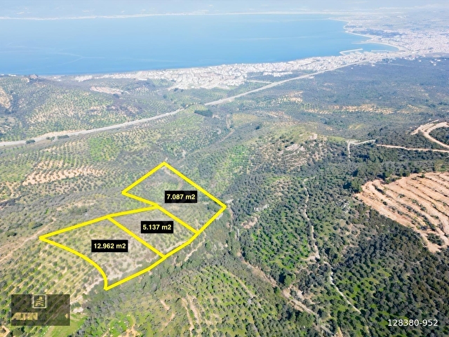 ALTIN EMLAKTAN BURHANİYE PELİTKÖYDE SATILIK 5137 M2 ZEYTİNLİK