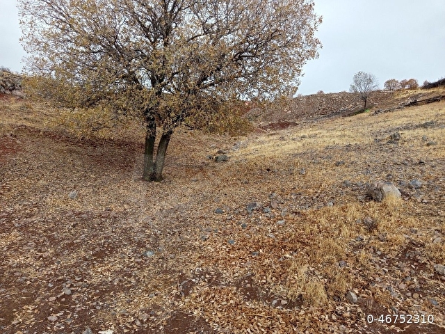 Yazıhan Akyazı köyünde satılık arsa elektirik suyu vardır müstakil tapudur