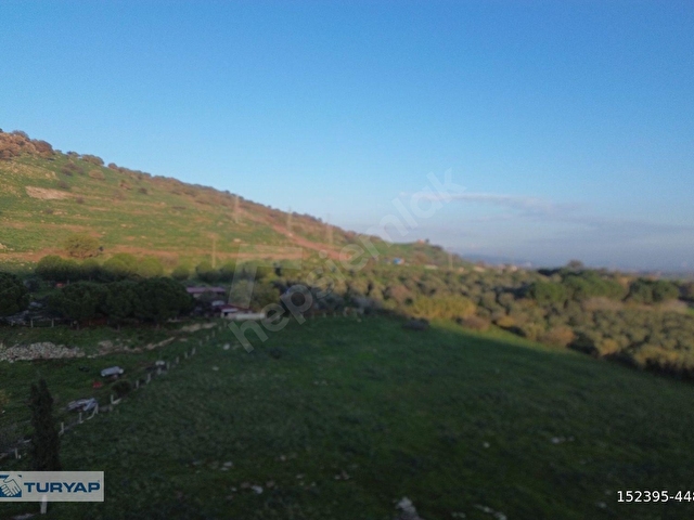 TURYAPTAN DİKİLİ MERKEZDE SANAYİ CADDESİ ÜZERİNDE SATILIK ARAZİ - Görsel 8