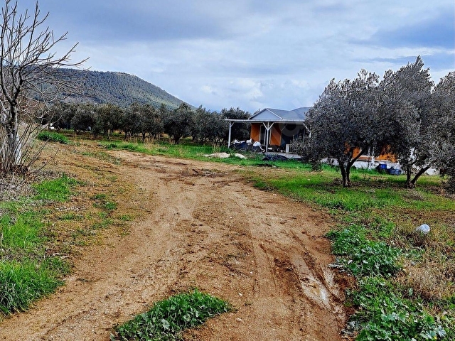 MİLAS BAHÇEYENİ SATILIK 30.000 M2 İÇİNDE ÇİFTLİK - Görsel 5