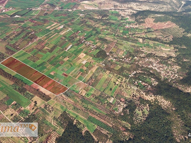 MİLAS BAHÇEYENİ SATILIK 30.000 M2 İÇİNDE ÇİFTLİK - Görsel 7