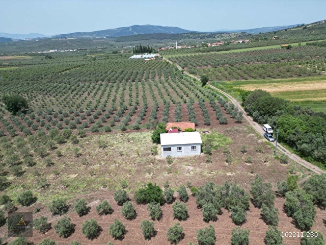 ARAS GAYRİMENKULDEN İÇİNDE YAPI BULUNAN 7.600m2 FIRSAT ZEYTİNLİK - Görsel 12