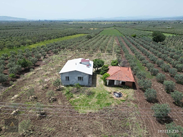ARAS GAYRİMENKULDEN İÇİNDE YAPI BULUNAN 7.600m2 FIRSAT ZEYTİNLİK - Görsel 15
