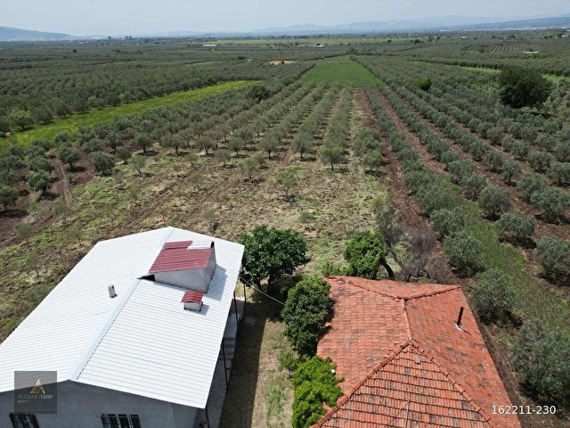 ARAS GAYRİMENKULDEN İÇİNDE YAPI BULUNAN 7.600m2 FIRSAT ZEYTİNLİK - Görsel 6
