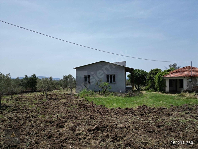 ARAS GAYRİMENKULDEN İÇİNDE YAPI BULUNAN 7.600m2 FIRSAT ZEYTİNLİK - Görsel 2