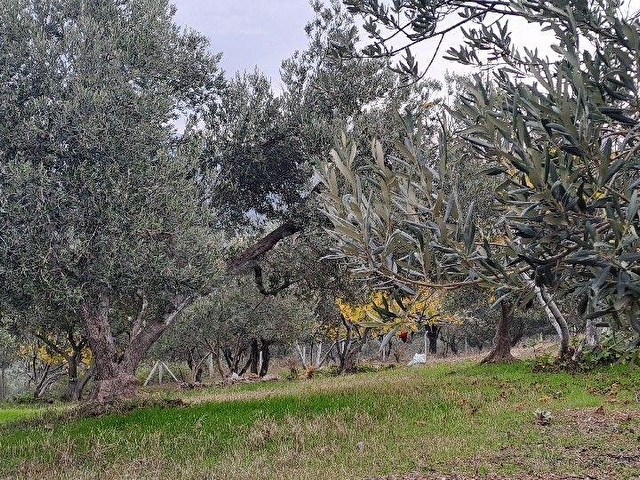 Edremit Pınarbaşı Satılık