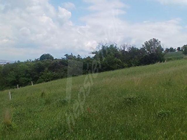 TOPAĞAÇ MAH. TOPRAK HER ZAMAN KAZANDIRIR 394 M2 SATILIK ARSA - Görsel 2
