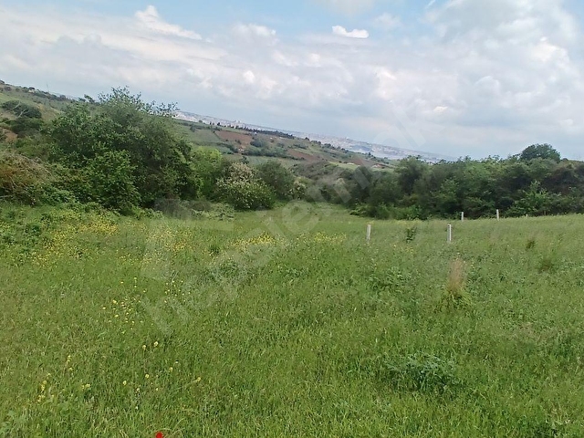 TOPAĞAÇ MAH. TOPRAK HER ZAMAN KAZANDIRIR 394 M2 SATILIK ARSA - Görsel 19