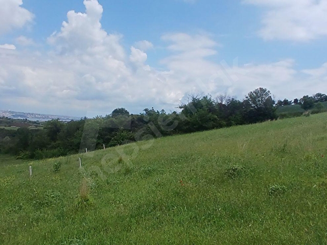 TOPAĞAÇ MAH. TOPRAK HER ZAMAN KAZANDIRIR 394 M2 SATILIK ARSA