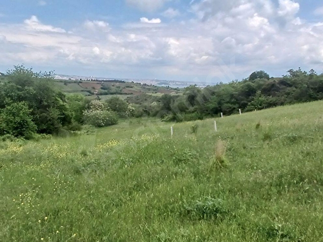 TOPAĞAÇ MAH. TOPRAK HER ZAMAN KAZANDIRIR 394 M2 SATILIK ARSA - Görsel 11