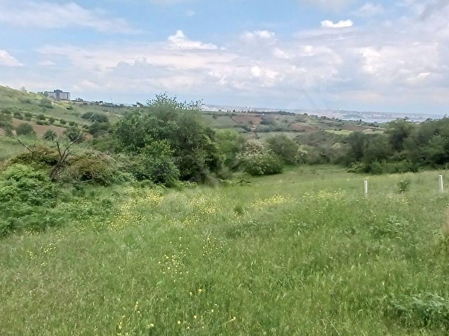 TOPAĞAÇ MAH. TOPRAK HER ZAMAN KAZANDIRIR 394 M2 SATILIK ARSA - Görsel 13