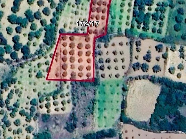 NAZİLLİ KARACASU YOLUNDA ACİL SATILIK TARLA - Görsel 2