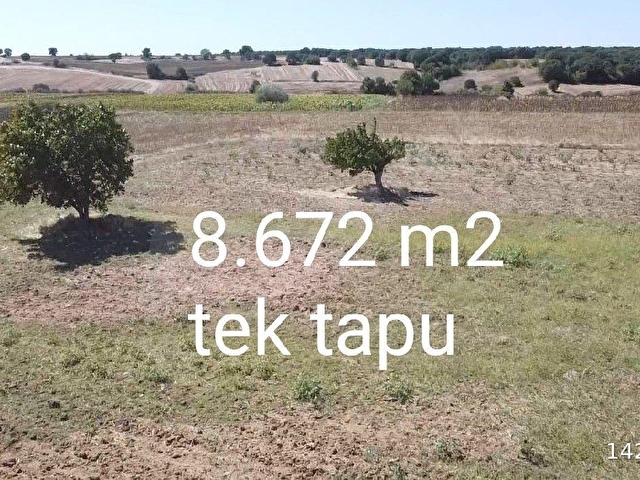 KIRKLARELİ DOLHAN da 8.672 M2 İMARA 500 metre yürüme mesafesinde - Görsel 5