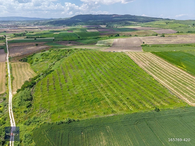 BALIKESİR MANYAS KIZIKDA SATILIK 19.191,20 m² CEVİZ BAHÇESİ - Görsel 20