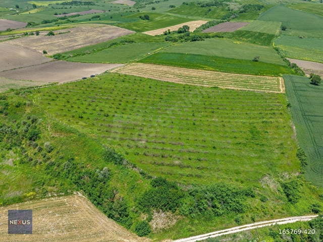 BALIKESİR MANYAS KIZIKDA SATILIK 19.191,20 m² CEVİZ BAHÇESİ - Görsel 14