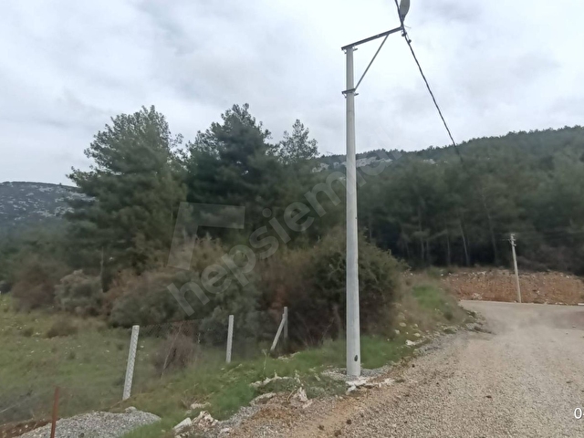 SAHİBİNDEN MUĞLA GÜLAĞZINDA ÇAM AĞAÇLARI İÇİNDE İMARLI ARSA - Görsel 3