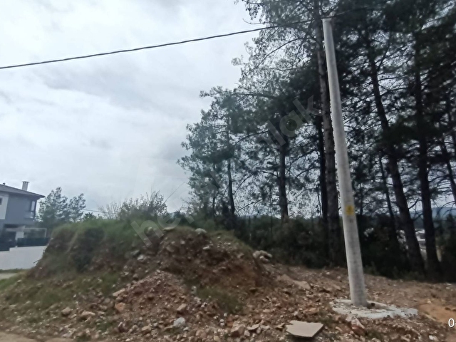 SAHİBİNDEN MUĞLA GÜLAĞZINDA ÇAM AĞAÇLARI İÇİNDE İMARLI ARSA - Görsel 10