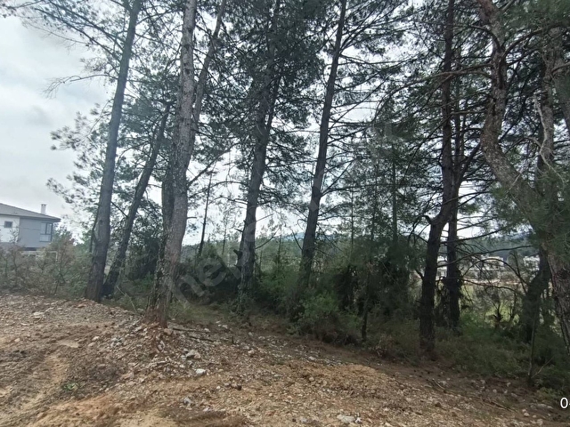 SAHİBİNDEN MUĞLA GÜLAĞZINDA ÇAM AĞAÇLARI İÇİNDE İMARLI ARSA - Görsel 8