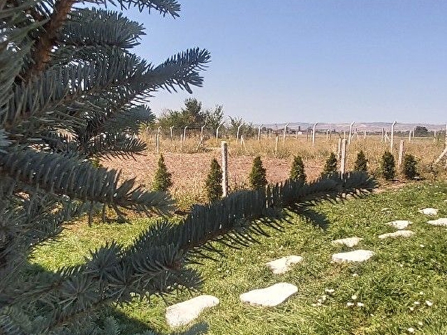KAHRAMANKAZANDA SATILIK BAHÇELI AHSAP EVLER 11865727 hepsiemlak