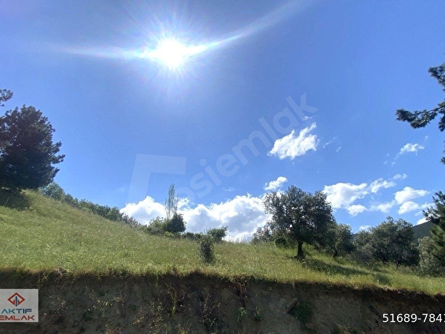 🟥BURHANİYE DUTLUCADA 975 M2 DENİZ MANZARALI MUHTEŞEM SATILIK ARSA
