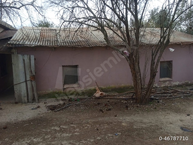 3 dönüm meyve bahçeli köy evi - Görsel 3