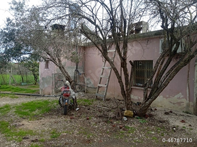 3 dönüm meyve bahçeli köy evi