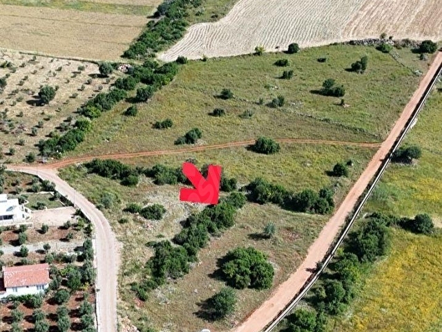 ANTALYA KEPEZ KIZILLI MANAVLAR YATIRIM FIRSATI TARLA - Görsel 9