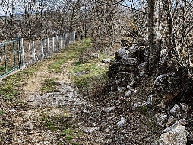 YEŞİLLİKLER DİYARI AĞLASUN YEŞİLBAŞKÖYDE SATILIK FIRSAT TARLA - Görsel 28