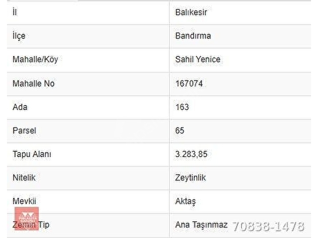 Balıkesir Bandırma Sahil Yenice Mah. 3.283 m2 Satılık Zeytinlik Yatırımlık - Görsel 3