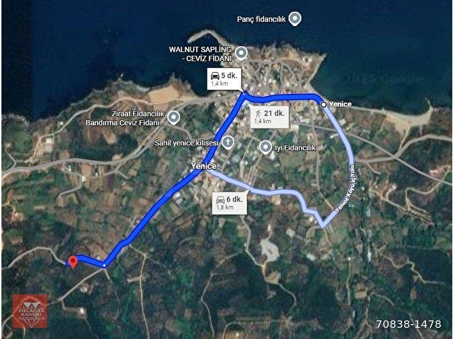 Balıkesir Bandırma Sahil Yenice Mah. 3.283 m2 Satılık Zeytinlik Yatırımlık - Görsel 6