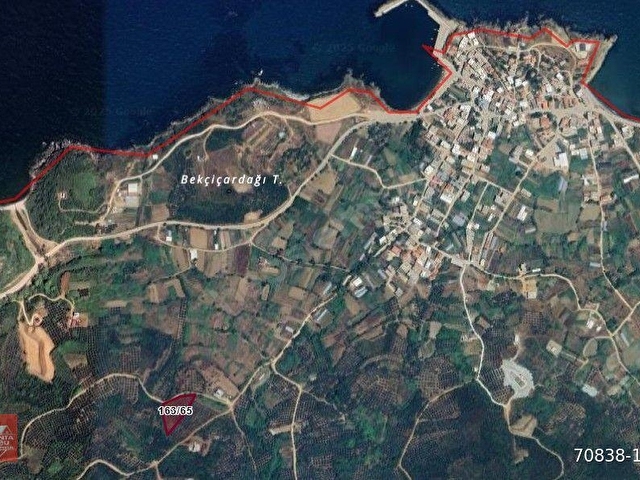 Balıkesir Bandırma Sahil Yenice Mah. 3.283 m2 Satılık Zeytinlik Yatırımlık - Görsel 4