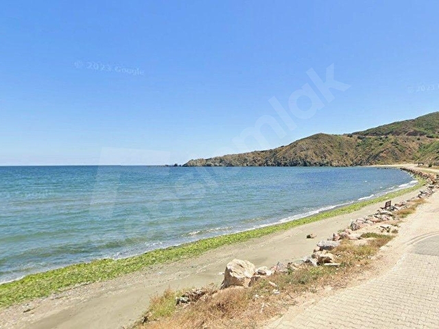 Balıkesir Bandırma Sahil Yenice Mah. 3.283 m2 Satılık Zeytinlik Yatırımlık - Görsel 2