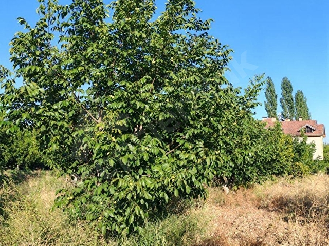 SATILIK BUCAK KESTEL KÖYÜNDE 4 DÖNÜM ARAZİ İÇİNDE 375 m2 TRİPLEX VİLLA - Görsel 13