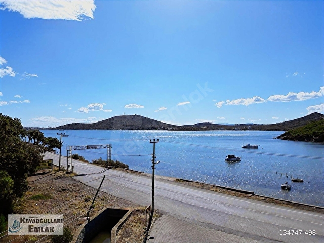 Ayvalık Özkayaoğulları emlak çamlıkta satılık villa - Görsel 9