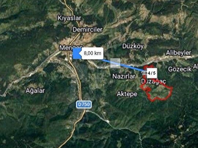  BOLU MENGEN DÜZAĞAÇ KÖYÜNDE YATIRIMLIK ÇİFTLİK ARAZİSİ - Görsel 5